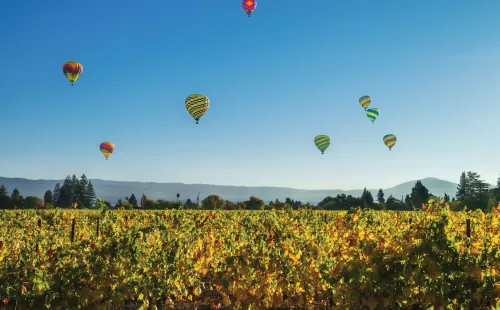 hot air balloons
