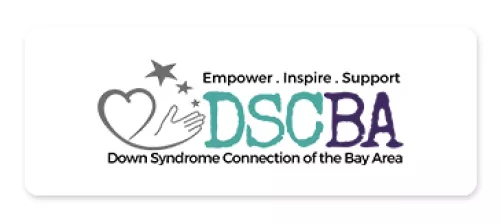 dsc logo