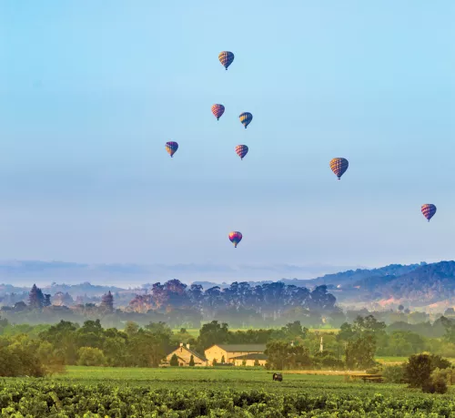 Napa CA