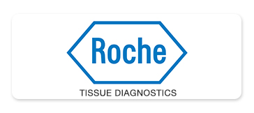 Roche Logo